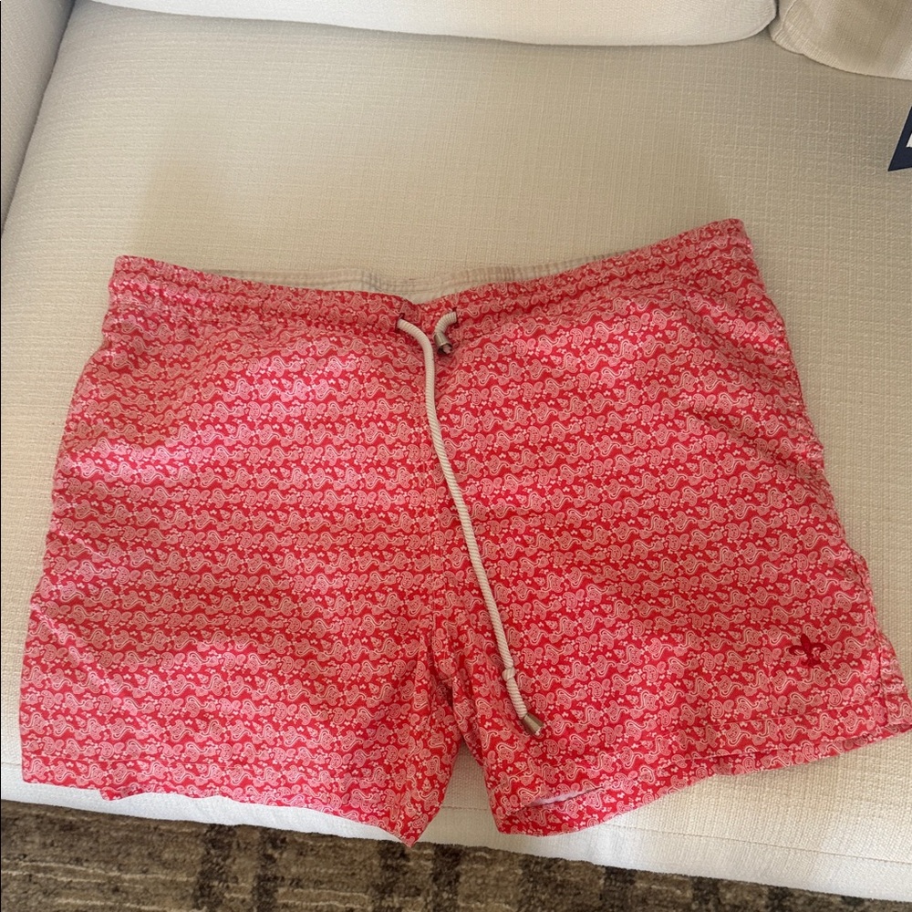 Stylish Pink men’s swim Shorts